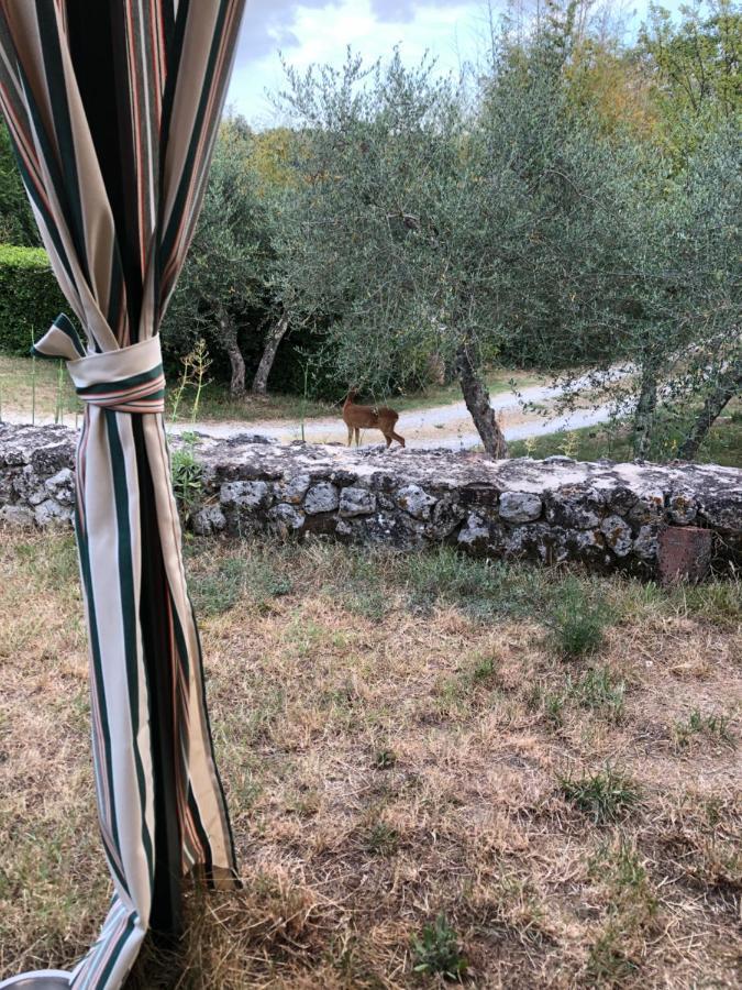 La Locaia Lägenhet Siena Exteriör bild