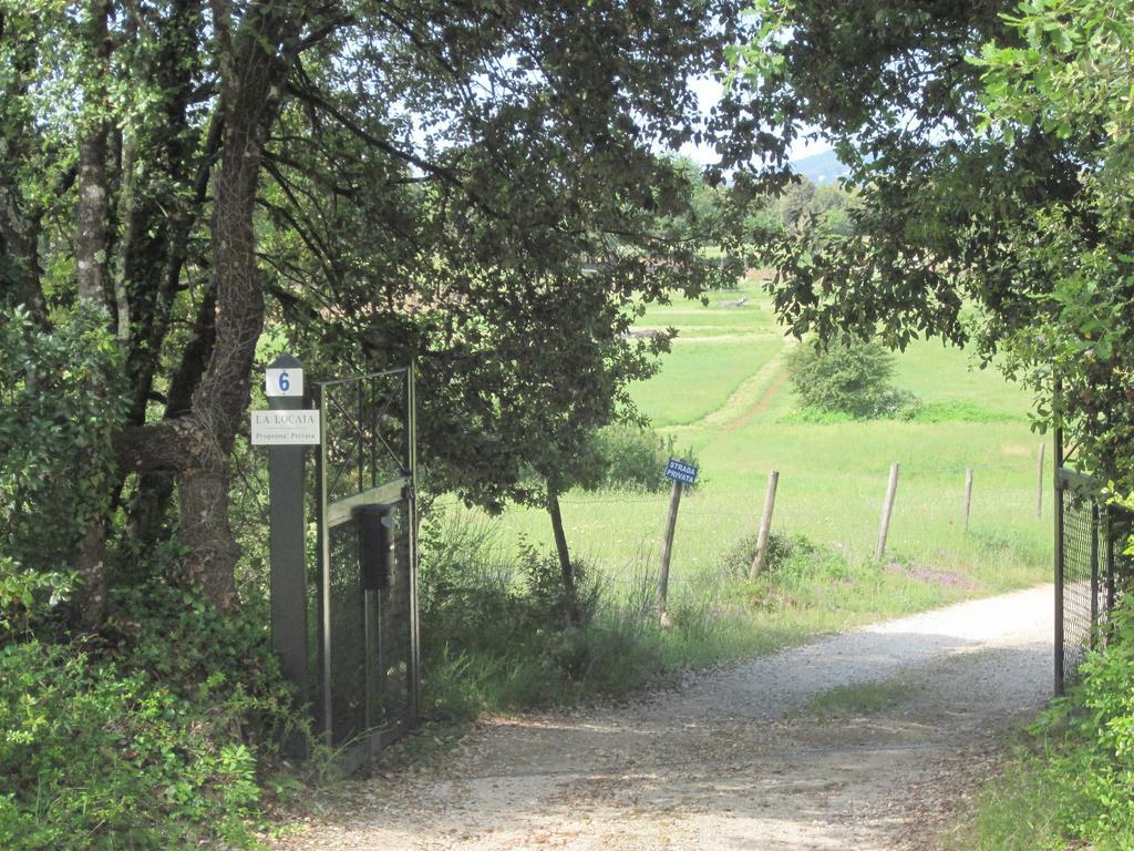 La Locaia Lägenhet Siena Rum bild